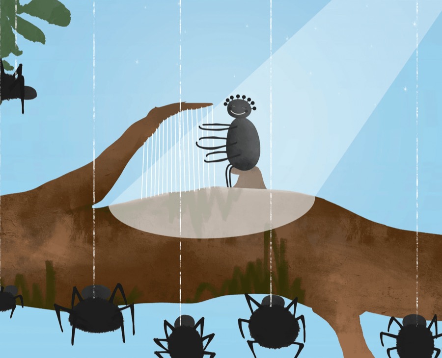 Spider character playing music on her web for other spiders