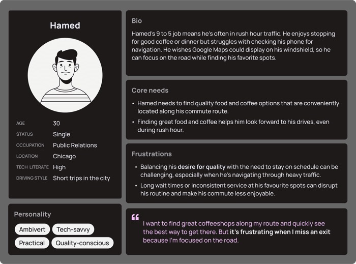 Hamed, user persona